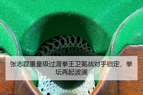 张志磊重量级过渡拳王卫冕战对手锁定，拳坛再起波澜